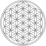 Flower of life.png