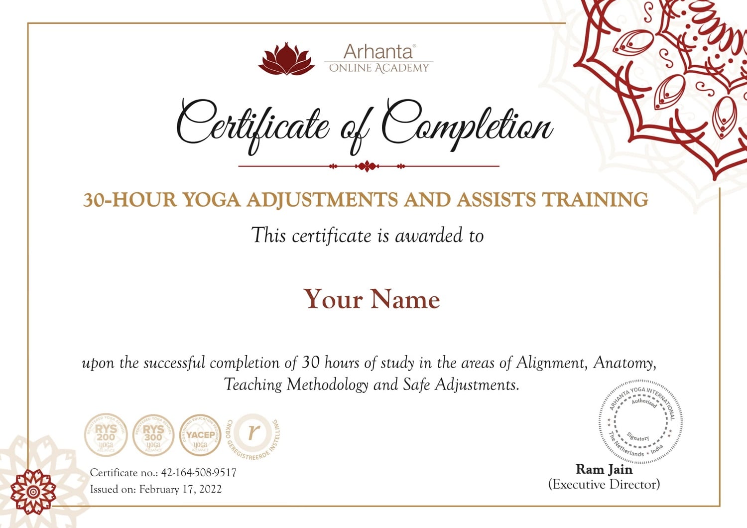 30 Uur Yoga Aanpassingen en Assistentie Training