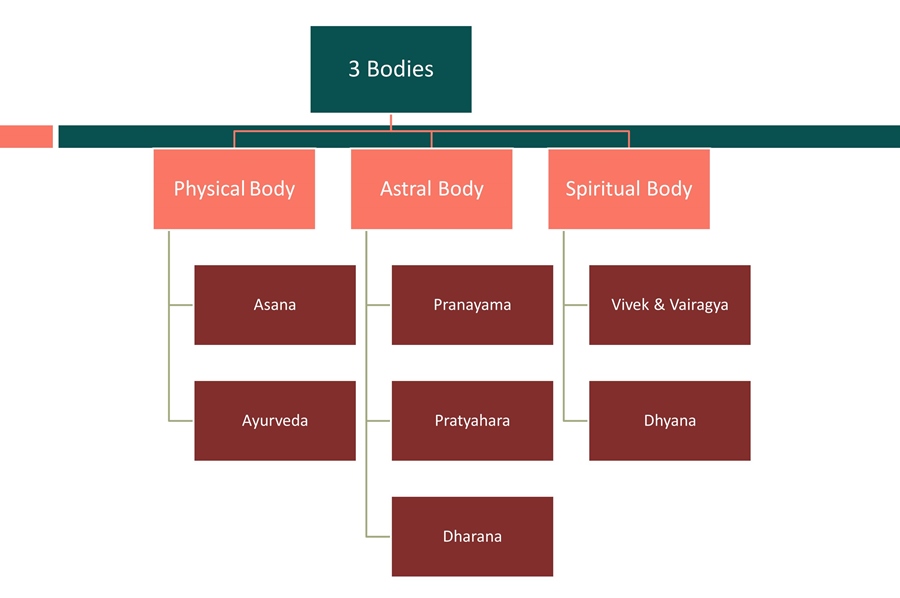 Holistische gezondheid in het licht van yoga en ayurvedaHolistische gezondheid in het licht van yoga en ayurveda