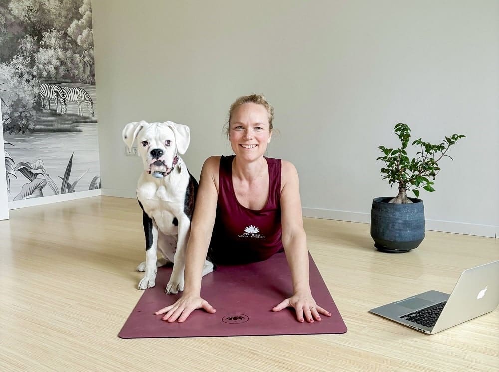 Online yogadocentenopleiding